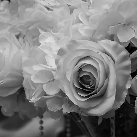 Hotel Hacienda Juncal